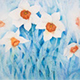 Daffodils in Blue