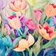 Tulips in Turquoise